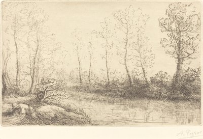 Koivut: veden reuna aamuvalossa tekijältä Alphonse Legros