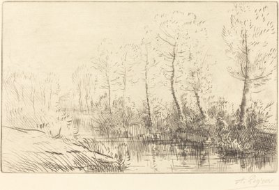 Koivut: veden reuna aamuvalossa tekijältä Alphonse Legros