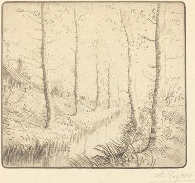 Koivut veden varrella tekijältä Alphonse Legros