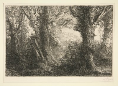 Dans la foret de Conteville (Contevillen metsässä) tekijältä Alphonse Legros