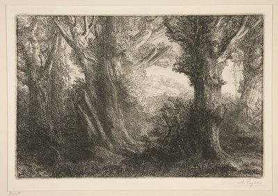 Dans la foret de Conteville (Contevillen metsässä0 tekijältä Alphonse Legros