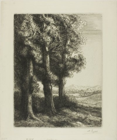 Puun reuna tekijältä Alphonse Legros