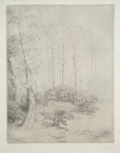 Veden reuna tekijältä Alphonse Legros