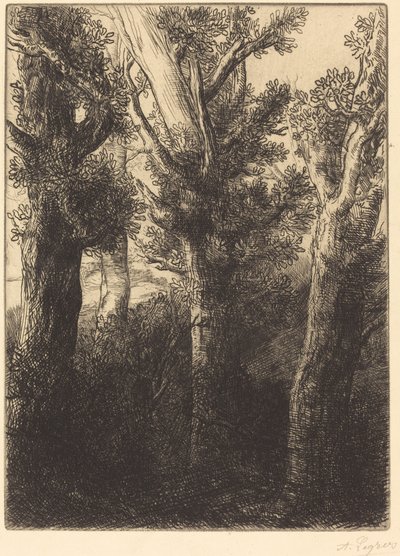 Saksan metsä, Downley. tekijältä Alphonse Legros