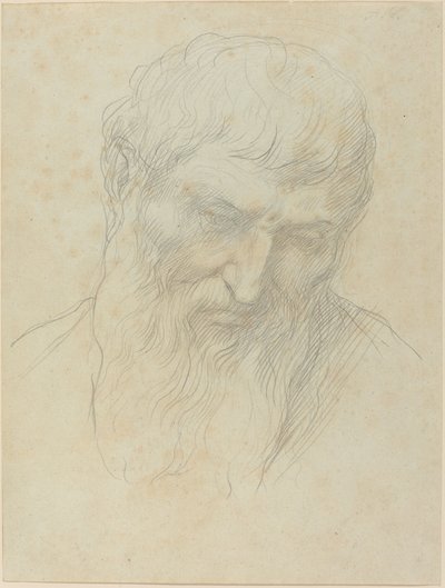 Kiharat hiukset ja parta omaavan miehen pää. tekijältä Alphonse Legros