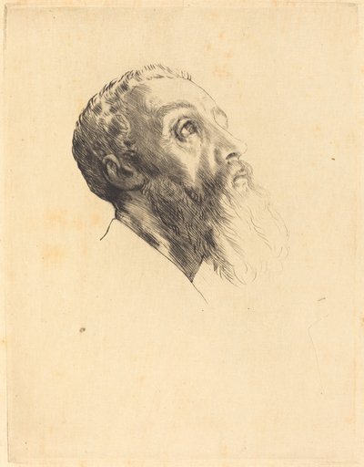 Mallin johtaja Mallien johtaja. tekijältä Alphonse Legros