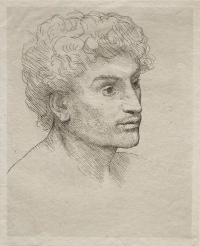 Nuoren miehen pää tekijältä Alphonse Legros