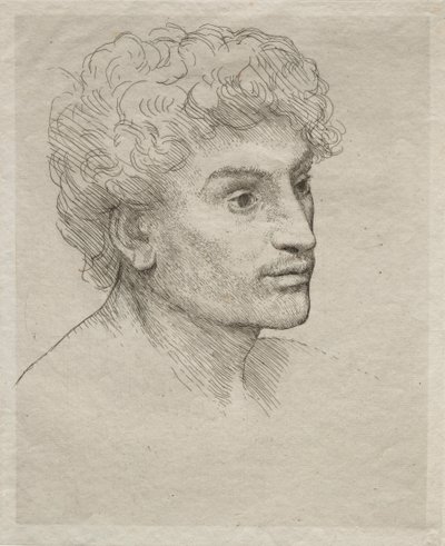 Nuoren miehen pää. tekijältä Alphonse Legros