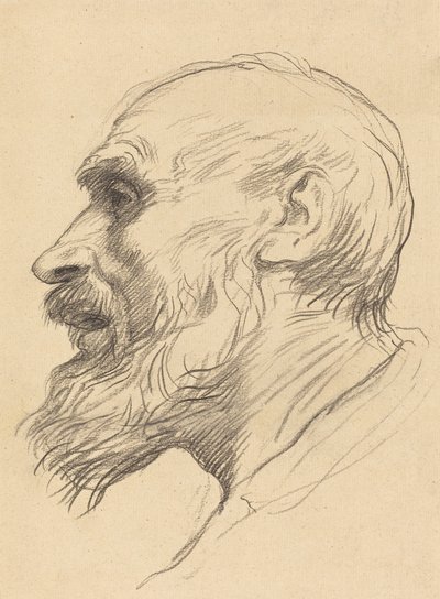 Vanhan miehen pää. tekijältä Alphonse Legros