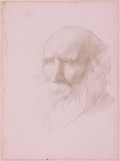 Vanhan miehen pää tekijältä Alphonse Legros