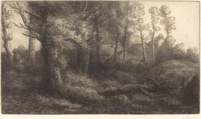 Metsässä Lisiere de foret. tekijältä Alphonse Legros