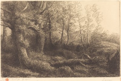 Metsässä Lisiere de foret. tekijältä Alphonse Legros