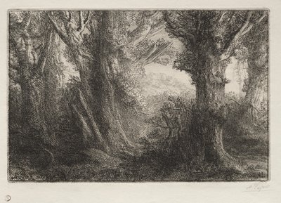 Contevillen metsässä tekijältä Alphonse Legros