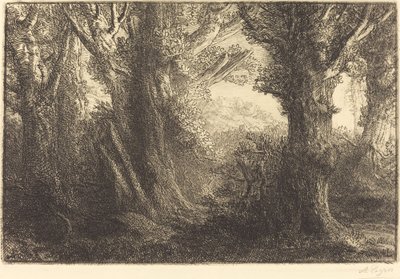 Contevillen metsässä Dans la foret de Conteville. tekijältä Alphonse Legros