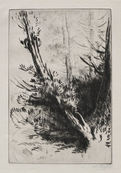 Metsässä tekijältä Alphonse Legros