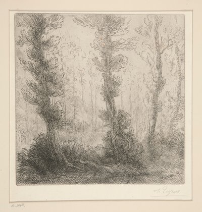 Pikku Järvi tekijältä Alphonse Legros