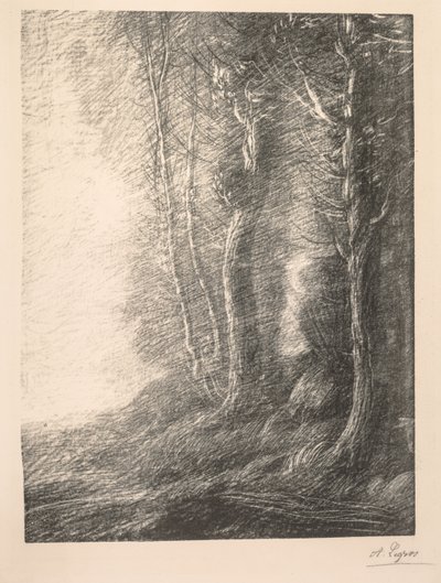 Maisema tekijältä Alphonse Legros