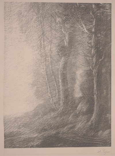 Maisema (litho) tekijältä Alphonse Legros