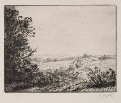 Maisema tekijältä Alphonse Legros