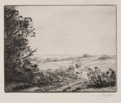 Maisema. tekijältä Alphonse Legros