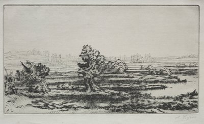 Maisema. tekijältä Alphonse Legros