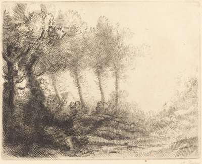 Maisema Maisema. tekijältä Alphonse Legros