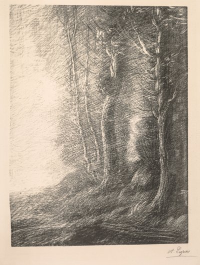 Maisemamaksu. tekijältä Alphonse Legros