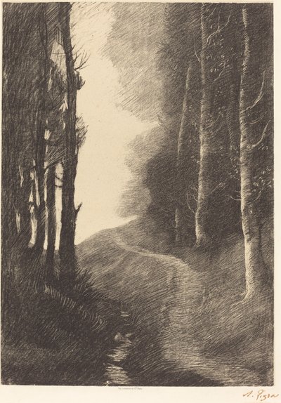 Maisema koivuilla tekijältä Alphonse Legros