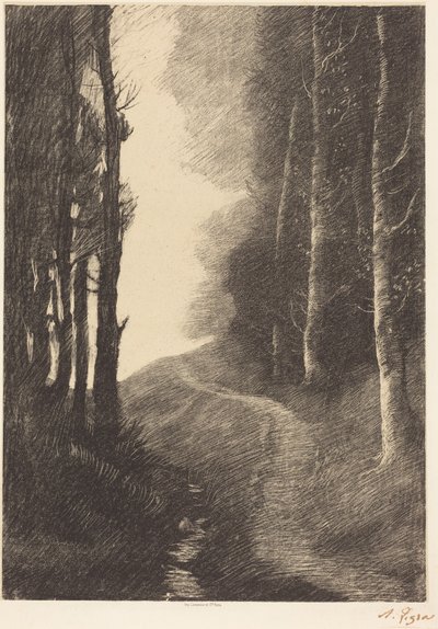 Maisema ja koivuja tekijältä Alphonse Legros