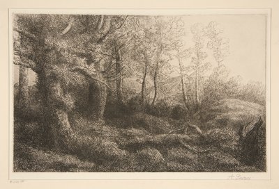 metsän reuna tekijältä Alphonse Legros