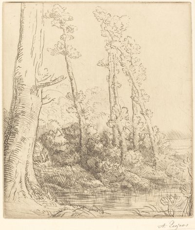 Pikku Pond La petite tamma. tekijältä Alphonse Legros
