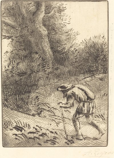 Little Wandering Jew Pieni vaeltava juutalainen. tekijältä Alphonse Legros