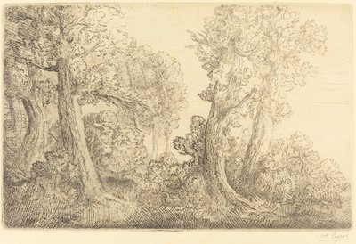 Lähellä metsää, Veronne (Pres du bois, Veronne) tekijältä Alphonse Legros