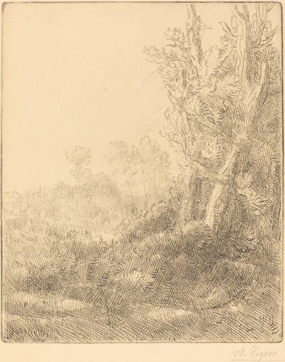 Vanhan kylän vanhakaupunki. tekijältä Alphonse Legros
