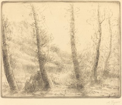 Pieni järvi tekijältä Alphonse Legros