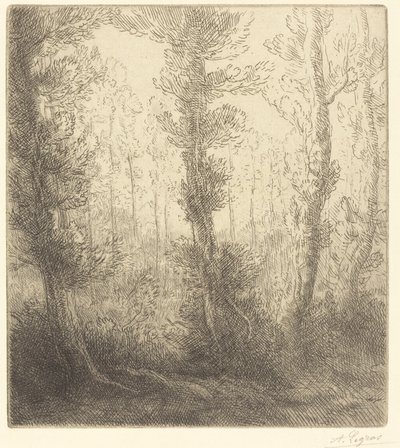 Pieni järvi Pieni järvi. tekijältä Alphonse Legros