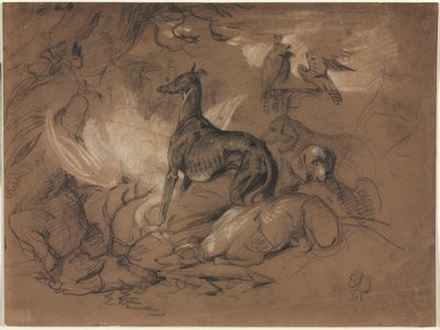 Eläintutkimukset tekijältä Alphonse Legros