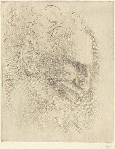 Tutkimus miehen päälle (Etude de tete d