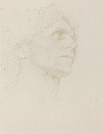 Tutkimus naisen päästä, käännetty oikealle. tekijältä Alphonse Legros