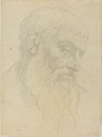 Pään tutkimus. tekijältä Alphonse Legros