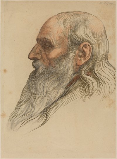 Tutkimus miehen päästä, jolla on täysi parta. tekijältä Alphonse Legros