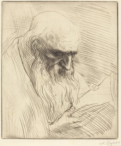  tekijältä Alphonse Legros