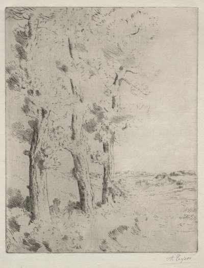 Lukija: Luento puiden alla tekijältä Alphonse Legros