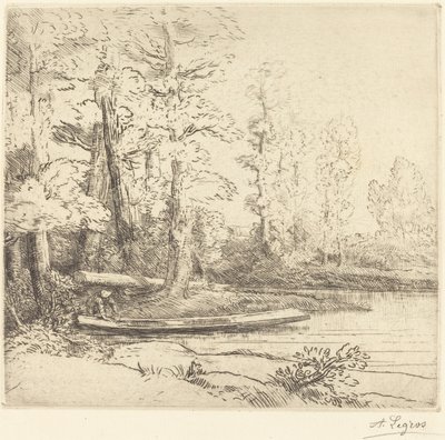 Arbres a la vora de l