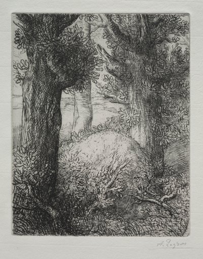 Gallialaiset hautausmaat. tekijältä Alphonse Legros