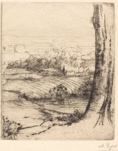 Näkymä ruokoille (Coin de roseau) tekijältä Alphonse Legros