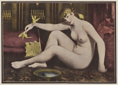 Lintujen ruokinta (väri litho) tekijältä Alphonse Pellet