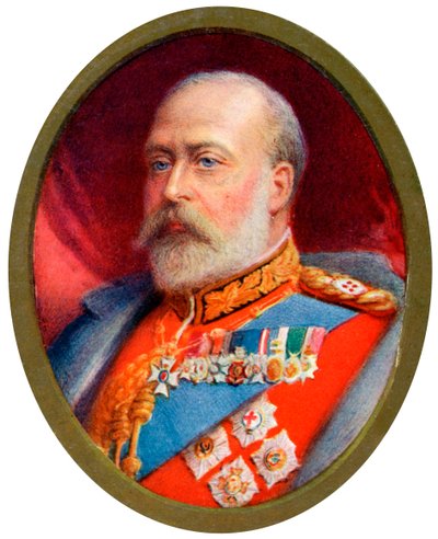 Kuningas Edward VII, 1910 tekijältä Alyn Williams