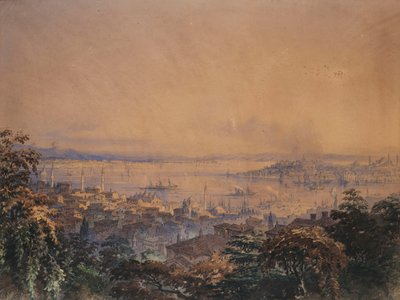 Näkymä Konstantinopoliin, 1866 tekijältä Amadeo Preziosi