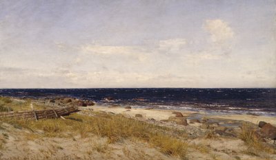 Makea vesi tekijältä Amaldus Nielsen